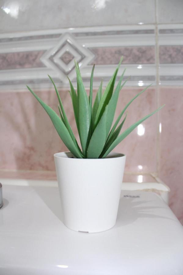 Nice And New Studio Very Close To The City Center 2ºa Малага Екстериор снимка